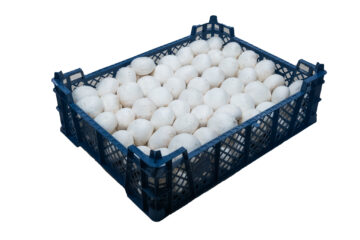 3kg pieczarka luzem
